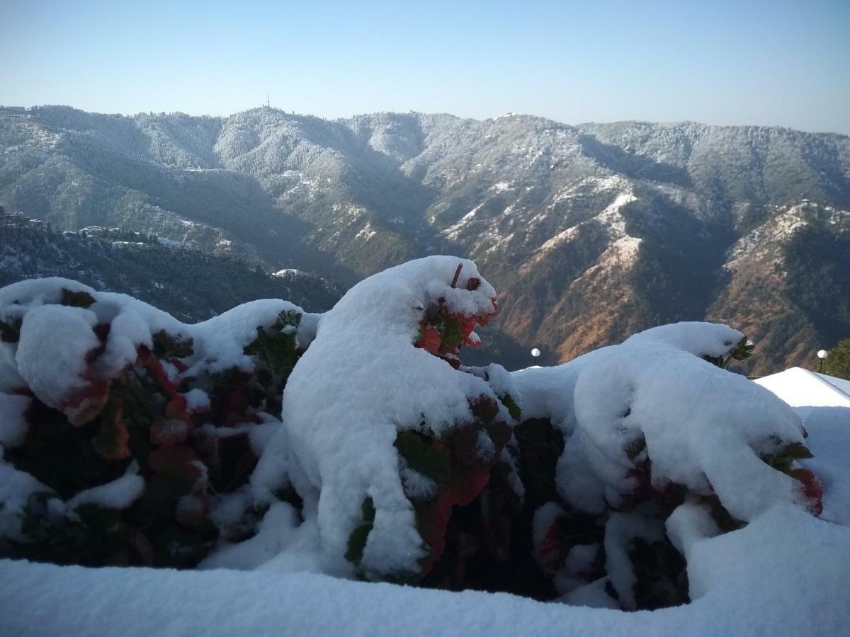 Spangle Heights Shimla, Suites And Residences Exterior foto